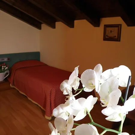 Monica Hotell 3*